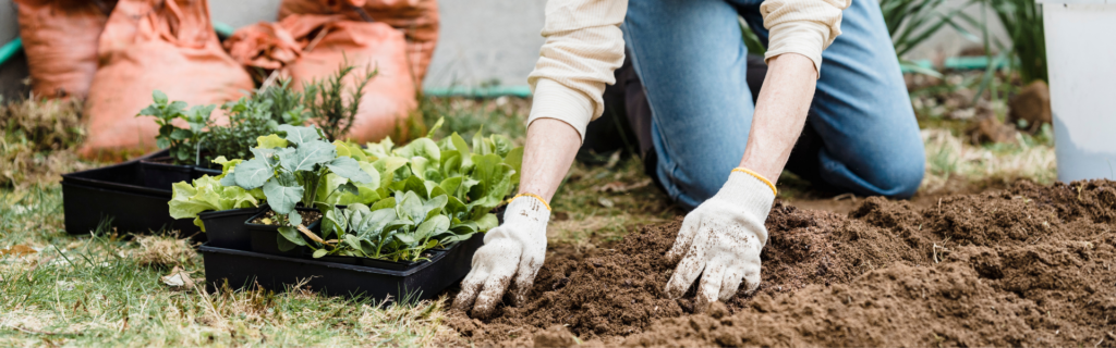 A woman preparing soil to plant green vegetables.