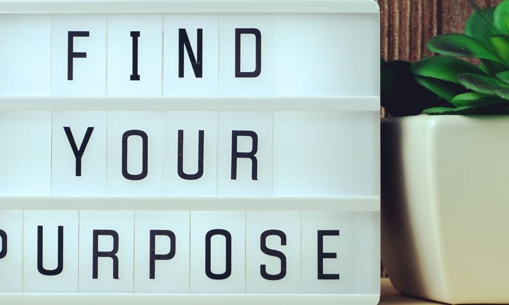 A light board next to a plant that says "Find Your Purpose."